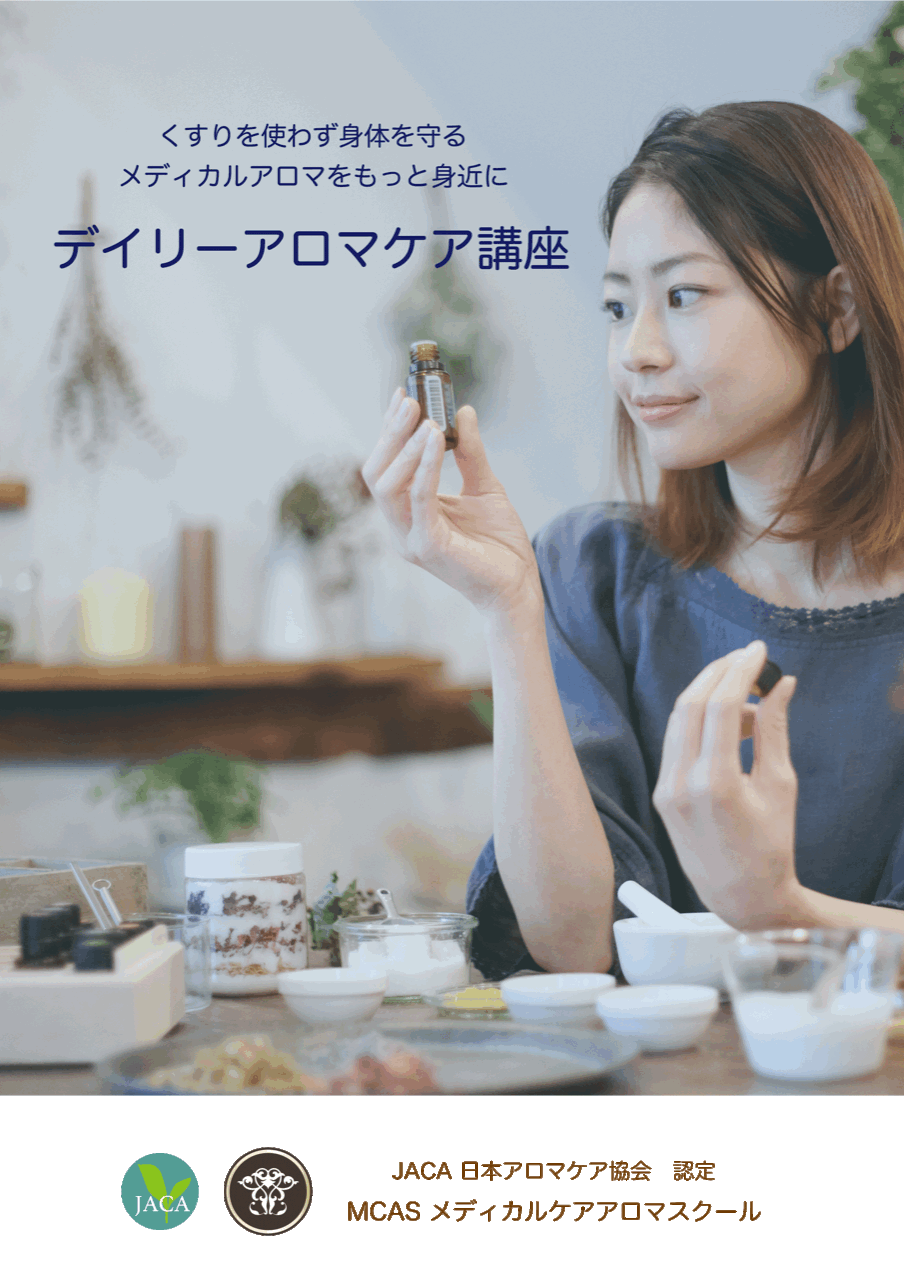 デイリー パンフ.gif