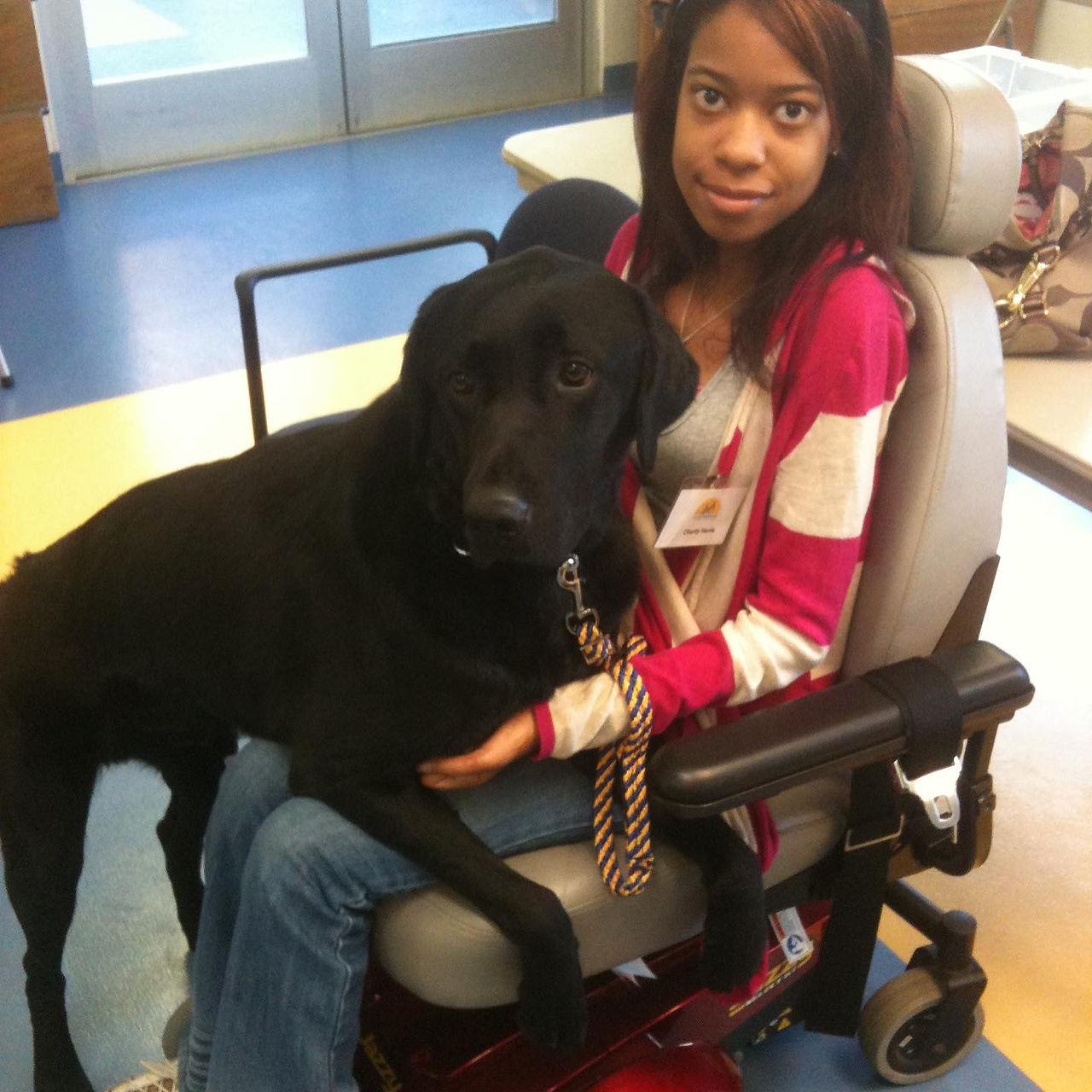 woman and service dog meeting for the first time