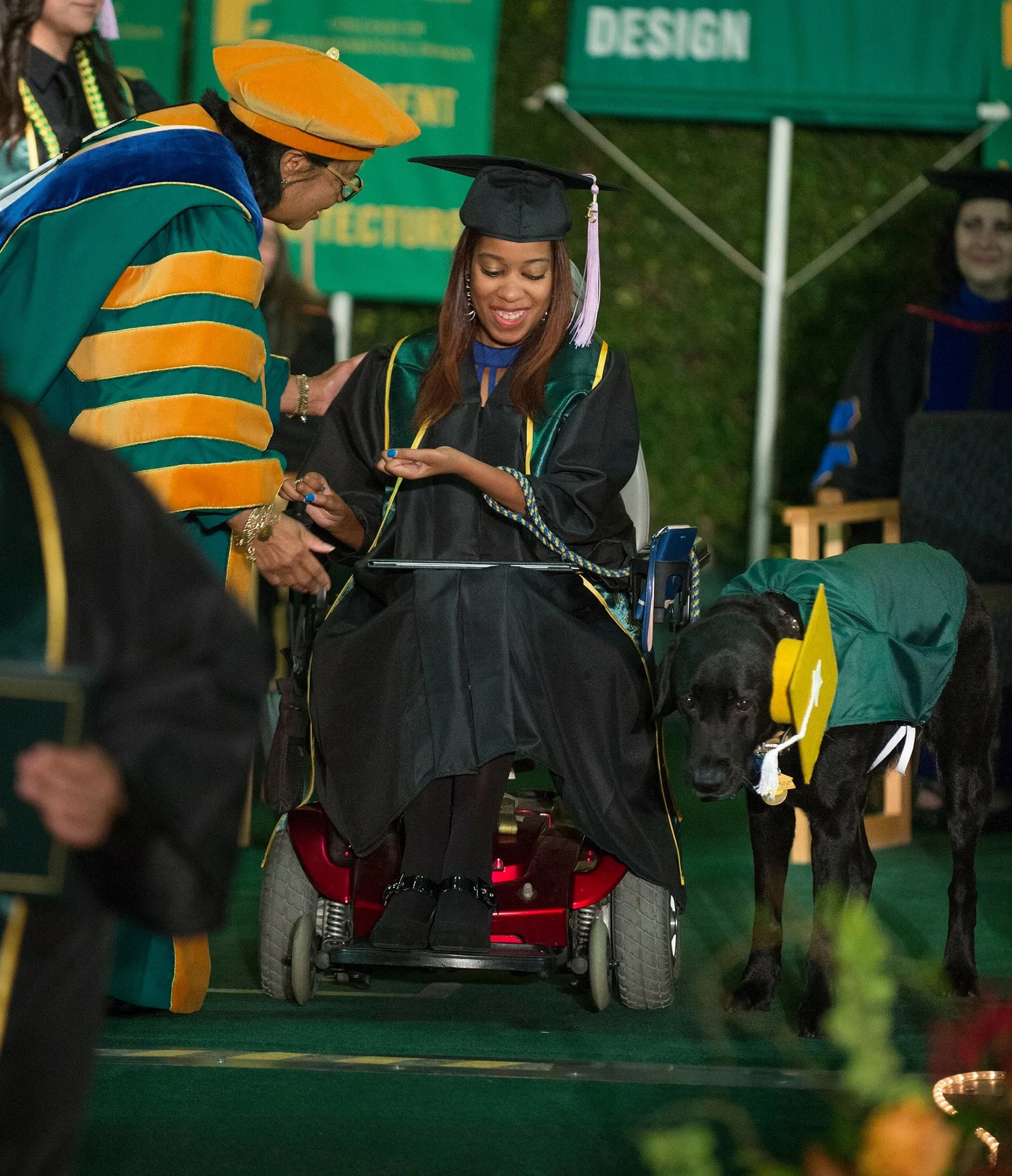 college graduate using wheelchair on graduation day with service dog