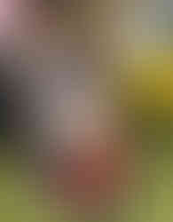 Award-winning author C.M. Harris, Charcot-Marie-Tooth Disease advocate