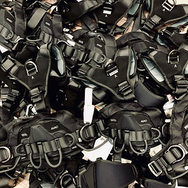 343 New Harness IG.jpeg
