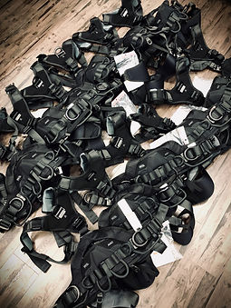 342 New Harness FB.jpeg