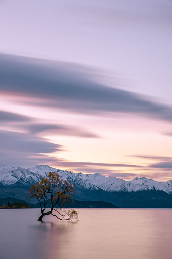 casey-horner-V3nogrYsKiQ-unsplash (1).jpg