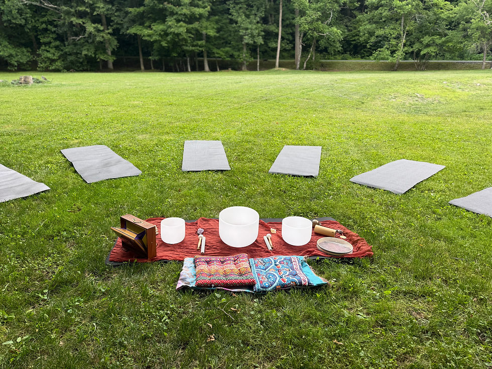 Roots and Resonance, a Sound and Forest Bathing Experience