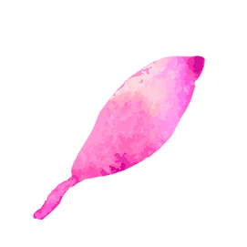 8_edited.png