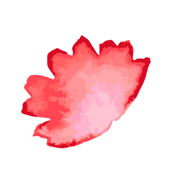 24.png