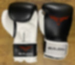 Miniature : Gants de boxe / MMA