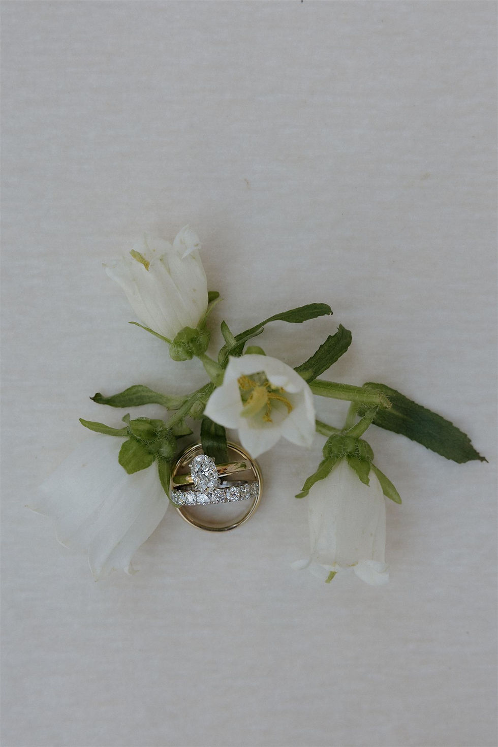 Flat lay with wedding rings and white florals for Paso Robles vineyard wedding