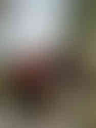 Group Portraits after Proposal by Paso Robles Proposal Photographer MacKenzie Rana