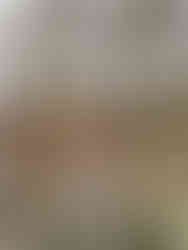 Bridesmaid reaction during first look at Villa San Juliette Wedding by Paso Robles Photographer Mackenzie Rana