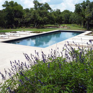 May in Austin: Time to Enjoy Your Landscape and Prep for the Heat