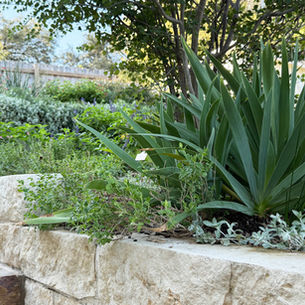 Designing Landscapes That Pay You Back