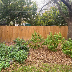 Winter (December) Landscape Maintenance: Leave the Leaves