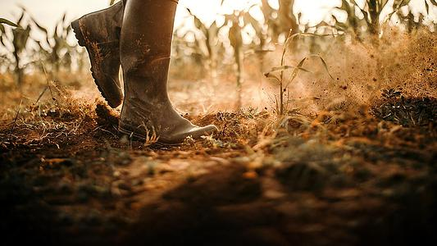 Environmental Land Management Strategic Knowledge Exchange Hub (ELMS-Exchange)