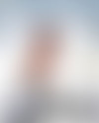 The Japanese Economic Suicide