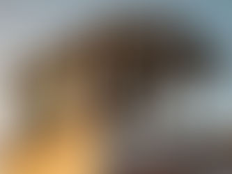 Immagine creata con l'intelligenza artificiale, che riporduce una tettoia abusiva in cima ad una casa