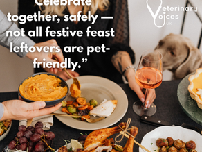 Christmas dinner for dogs?