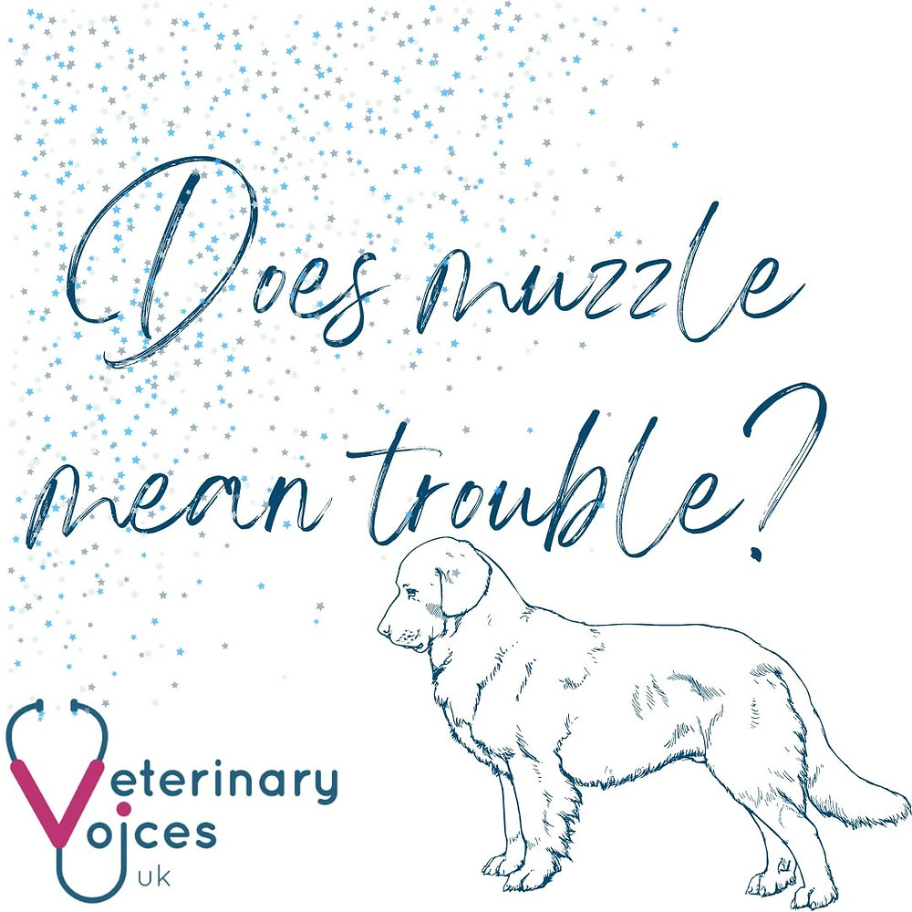 Does Muzzle Mean Trouble?