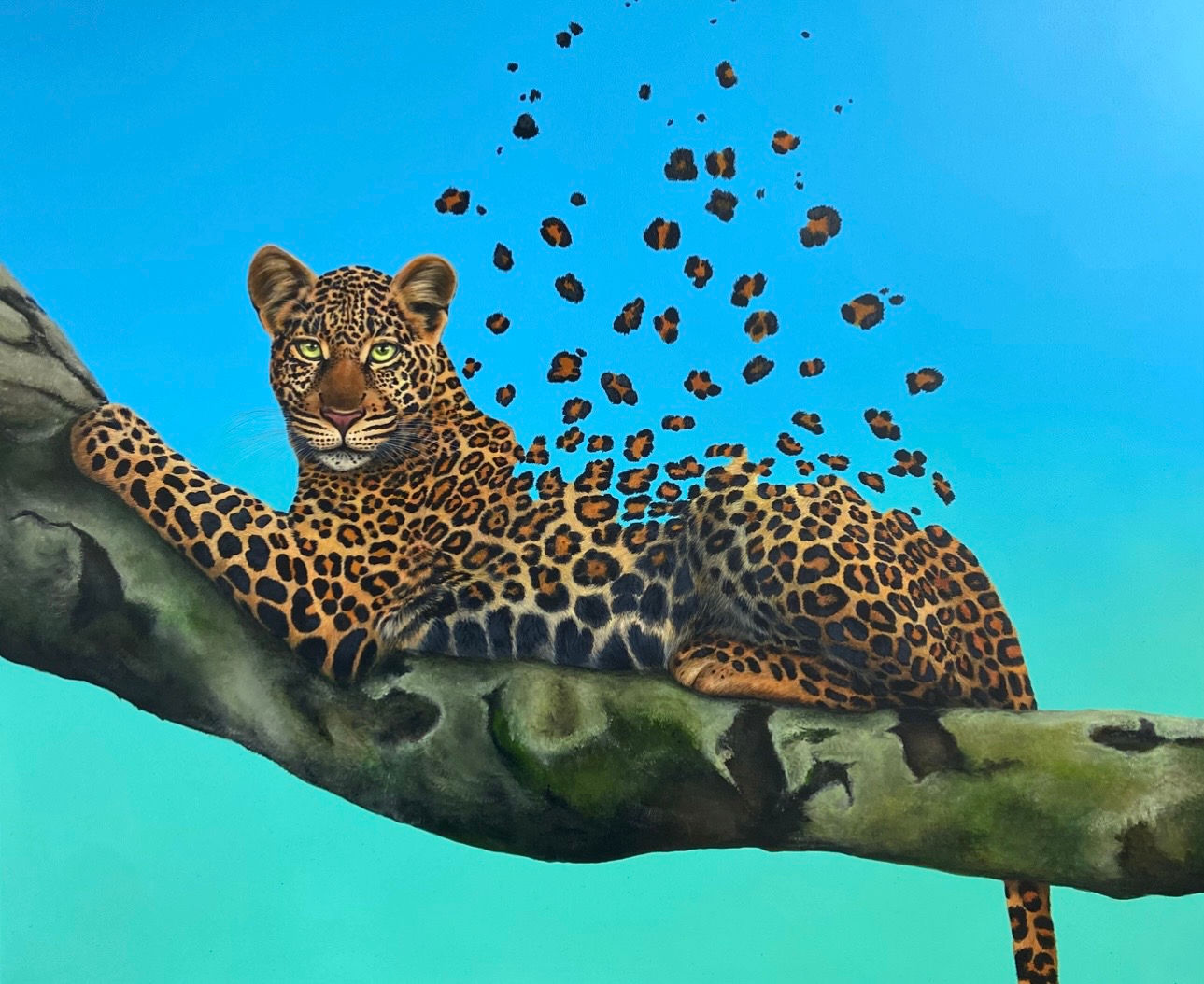 Pieces of Heaven by Louise McNaught