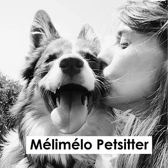 Design sans titre (5).png