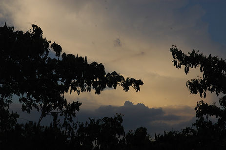 115A9895-1947-4BF1-81BA-D4B9BEFA7544_1_1