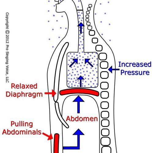 Abdominal Contraction for Increased Air Pressure