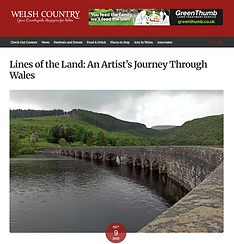 Lines of the Land - An Artist's Journey Through Wales