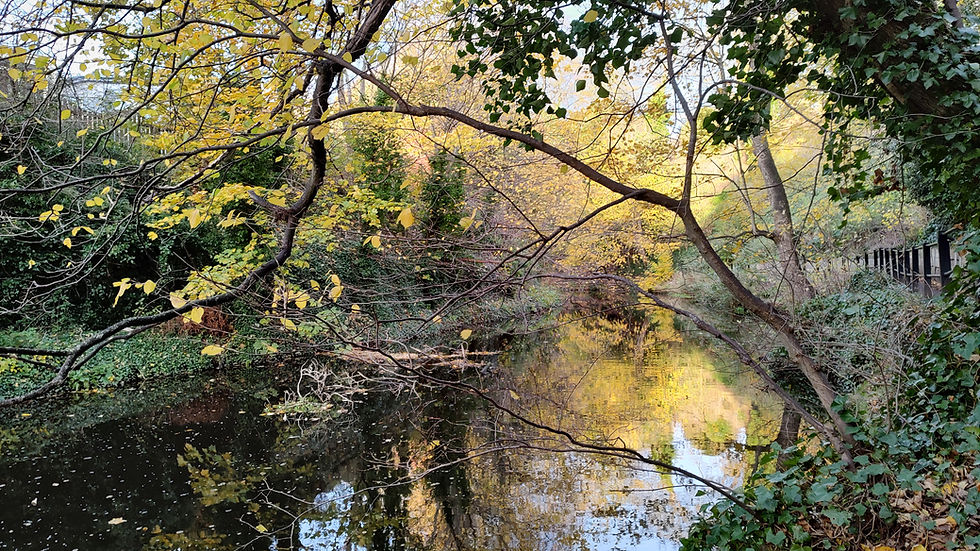 Edinburgh dean village autumn