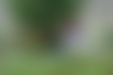 My favourite places to walk and paint in English landscapes 