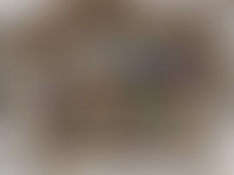 “Paper Wings” new bird art in collage and acrylic