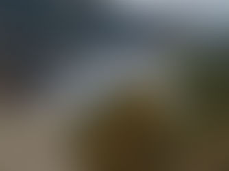 What does the perfect landscape look like?