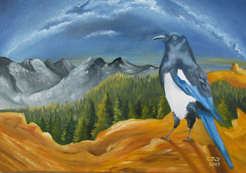 “A Home under the Stars”, available 