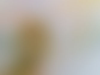 Art Diaries: The Blue Land