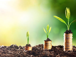 Venture Capital 101: A Beginner’s Guide