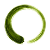 Zen_logo_circle_matcha_transparentV1.png