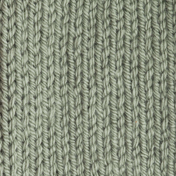 Miniature : PATONS Canadiana - Thé Vert