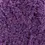 Miniature : Phil Douce - Ultraviolet