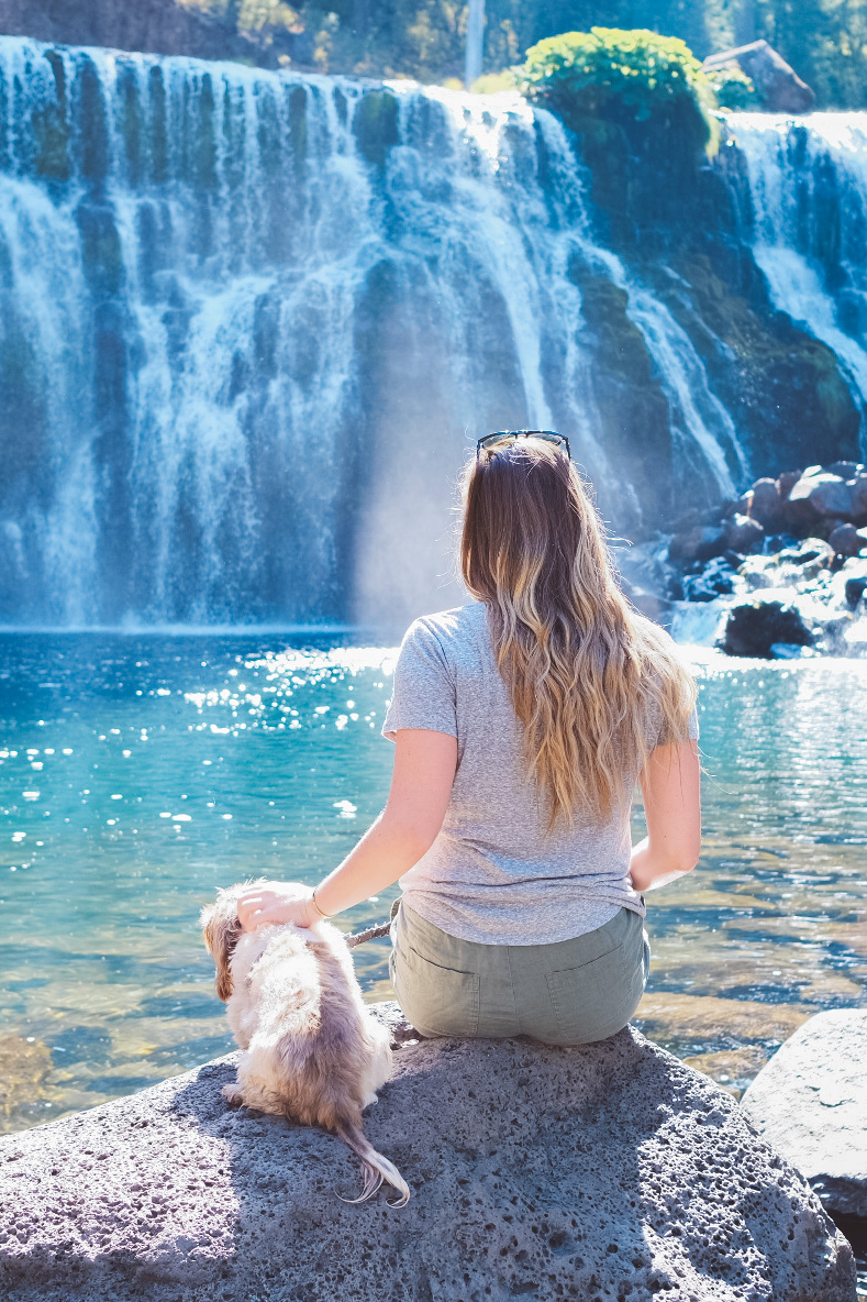 Blonde woman and her dog sitting in front of the middle falls at McCloud Falls in California