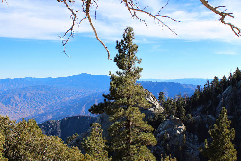 Idyllwild
