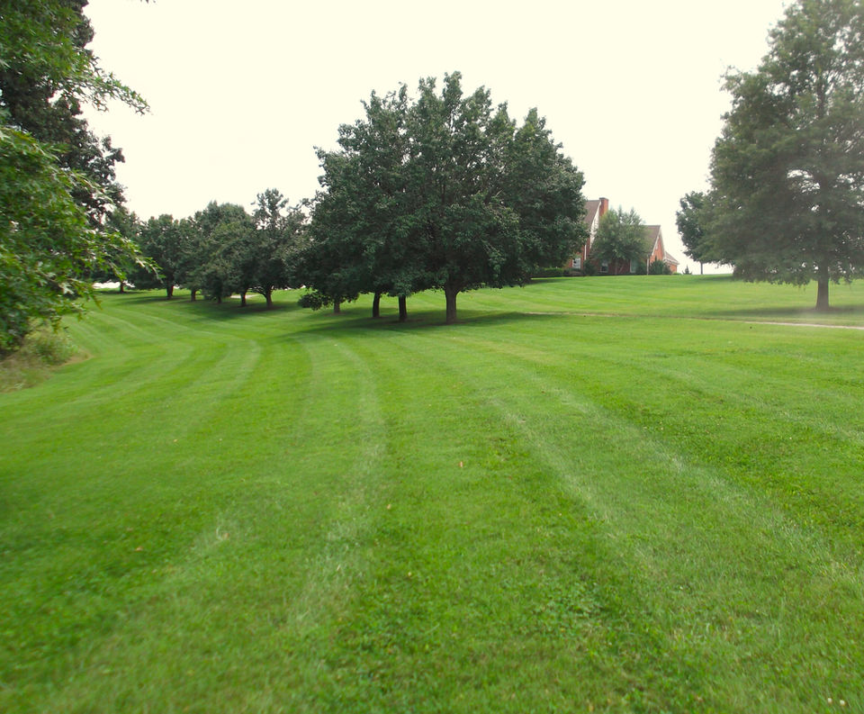 DSCF0157.JPG