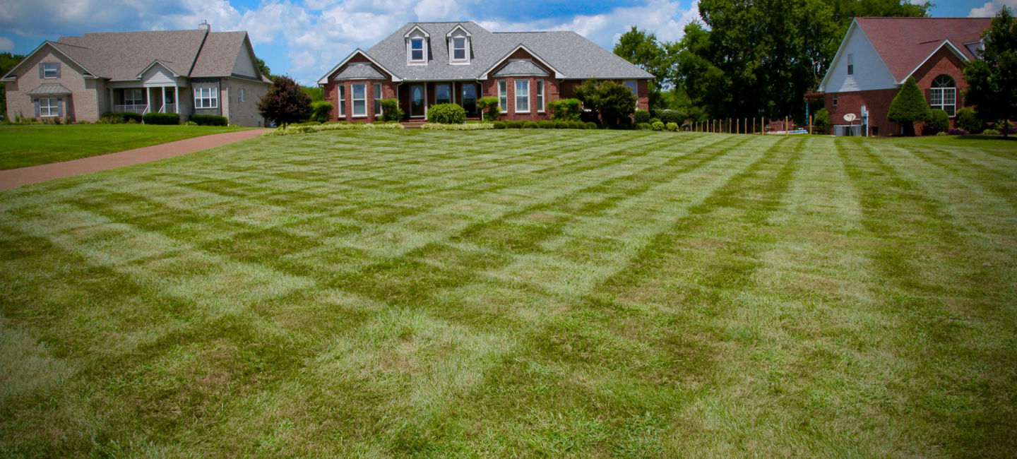 hendersonville lawn care mow grass _edited.jpg