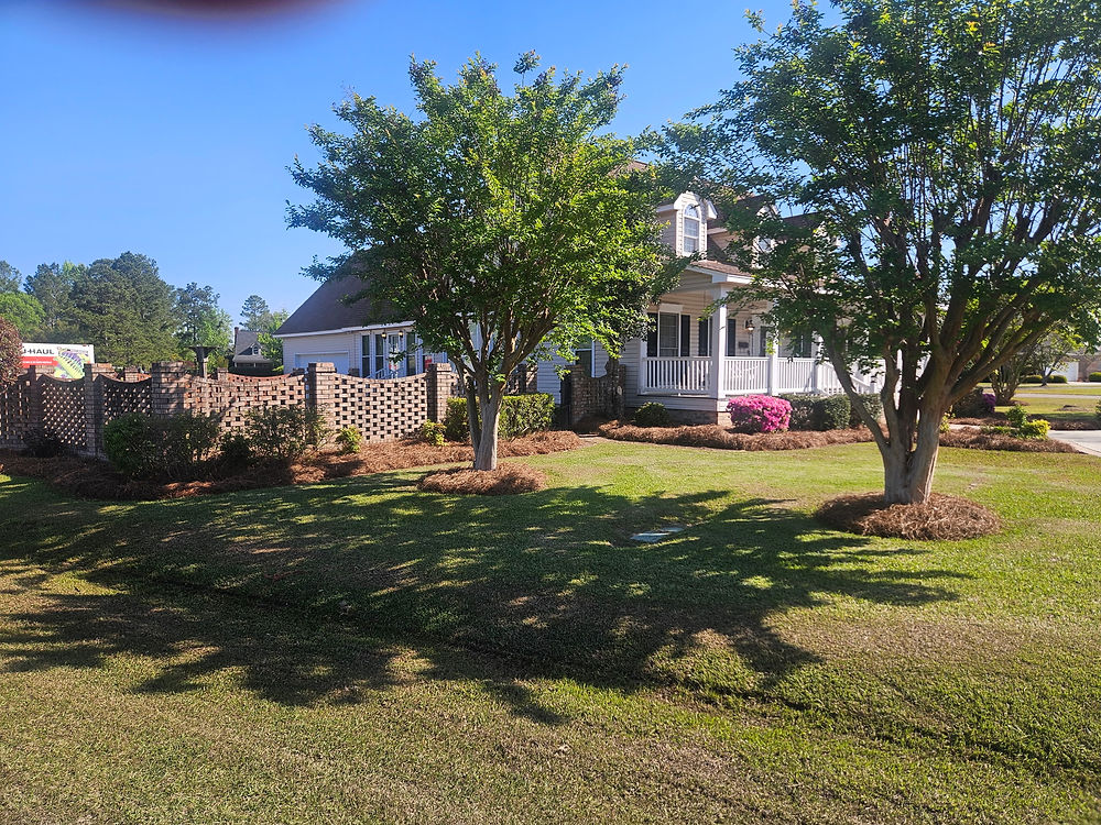 Residential home with landscaping