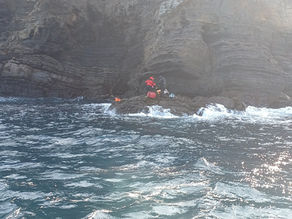 26년 2월 15일 조황