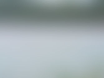 24년 5월 1일 조황 -2