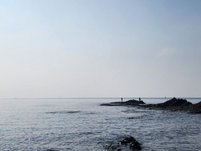 23년 12월 31일 조황