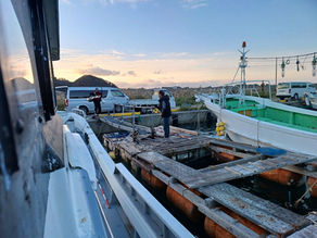 25년 11월 4일 조황