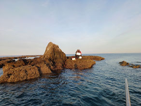 24년 5월 1일 조황