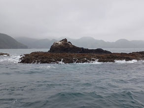 25년 5월 18일 조황