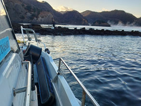 25년 12월 22일 조황