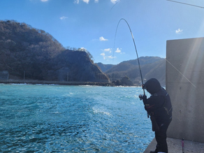 23년 12월 25일 조황